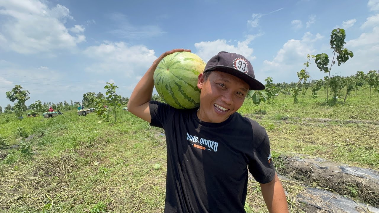 KITA AKAN OTR ! - SIMULASI BOS NEK MENOWO BAR IKI OLEH DI ANGKUT ! 🙈🍉🍑🍒🥭🥝🫒🍍