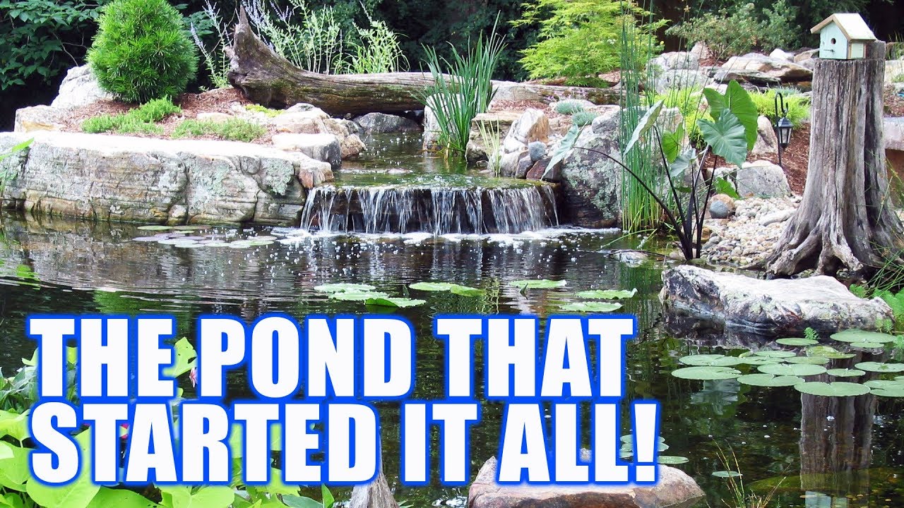THE POND THAT STARTED IT ALL! : Greg Wittstock, The Pond Guy