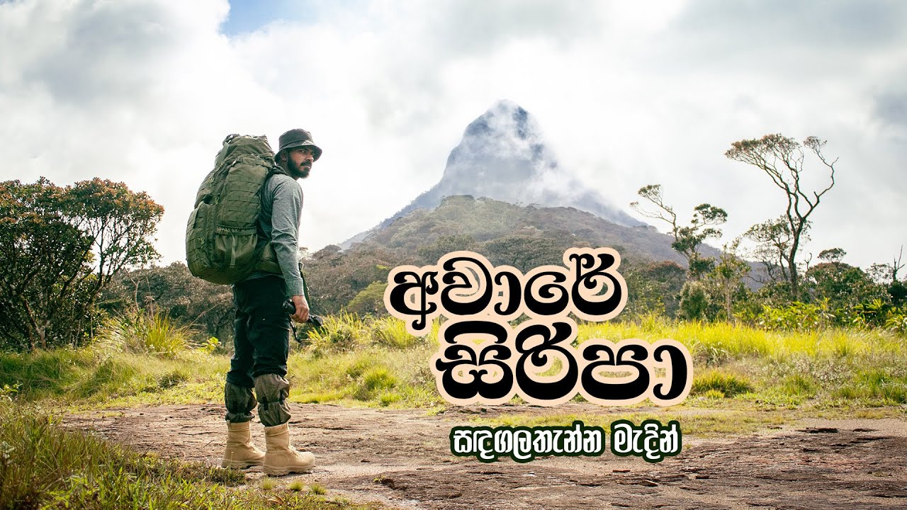 Aware Siripa | අවාරේ සිරිපා | Off season Sripada 2023 | Sandagalathenna Sri Lanka | @sanchaarakaya