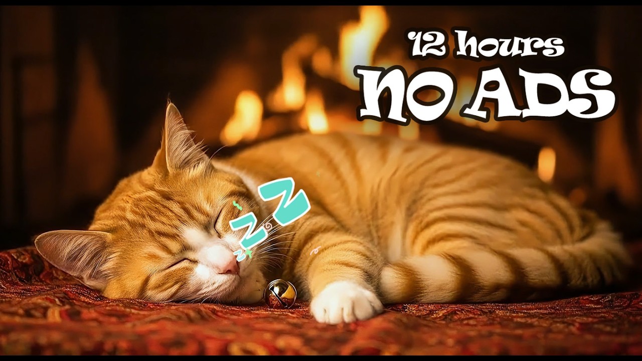 12 Hours UNINTERRUPTED Relaxing Music for Cat Home Alone 😺 Safe & Calm Space for Lonely Cats
