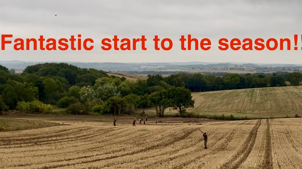 Первая охота на куропаток в сезоне 2025/26!!! 💥