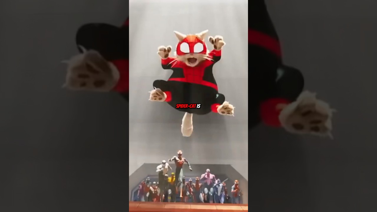 The TRAGIC Story of Spider-Cat