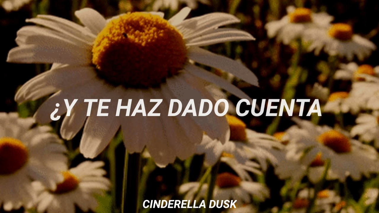 Kissin U - Miranda Cosgrove | Sub español