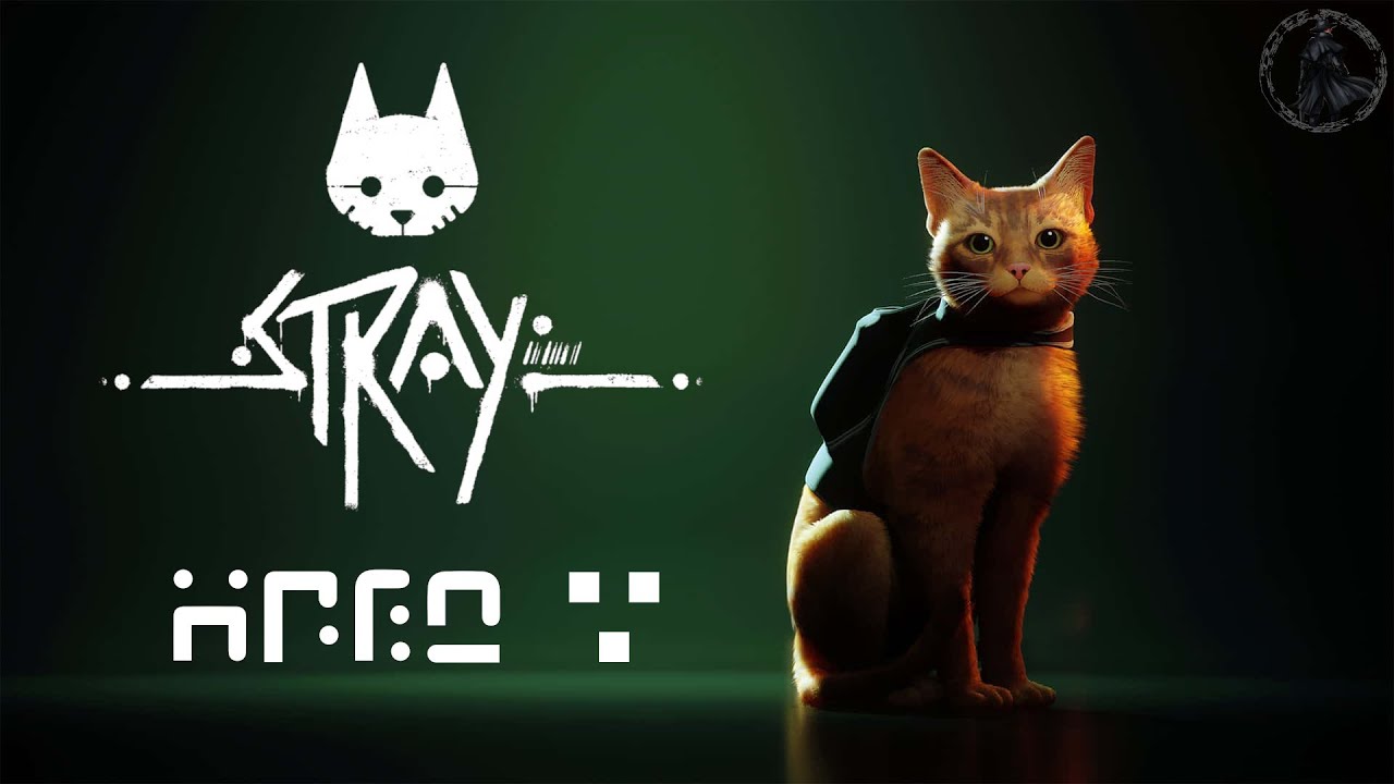 Stray. Аутсайдеры (часть 3)