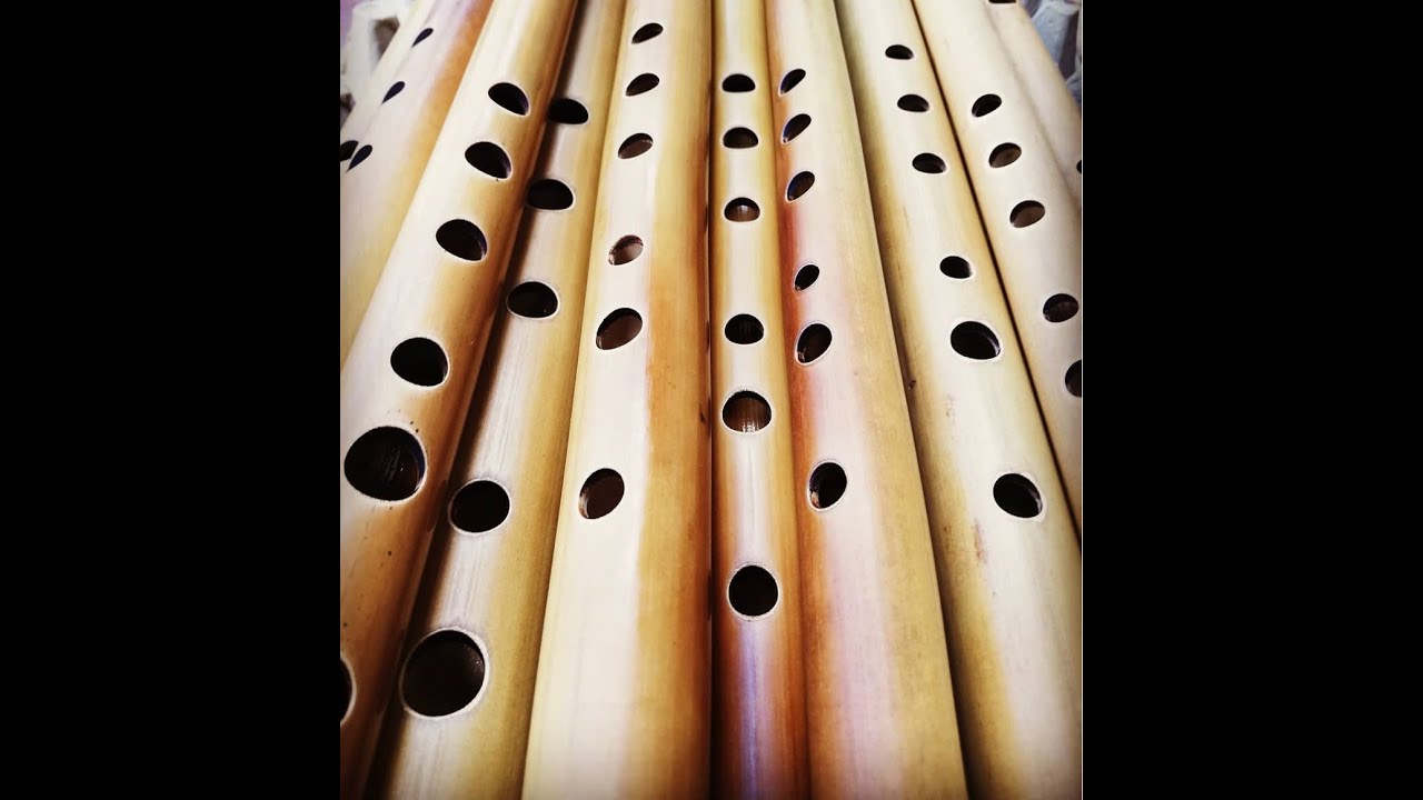 08. Sa Re Ga Ma Pa Dha Ni Sa' [Aprende bansuri en Español]