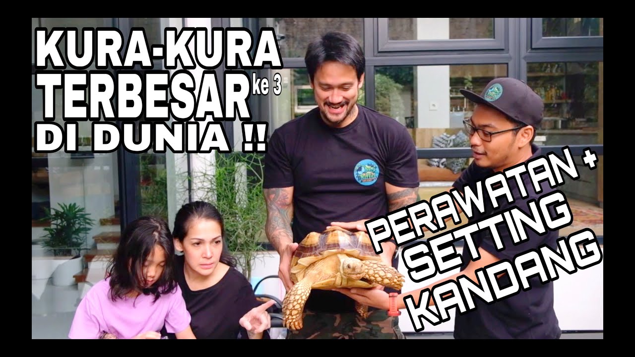 SULCATA PERTAMA UNTUK TORA SUDIRO & MIEKE AMALIA