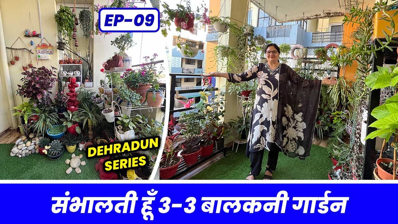 अकेले ही संभालती हूँ 3-3 बालकनी गार्डन 🏡 Know How to do Gardening in Low Space (Garden Tour) EP-09