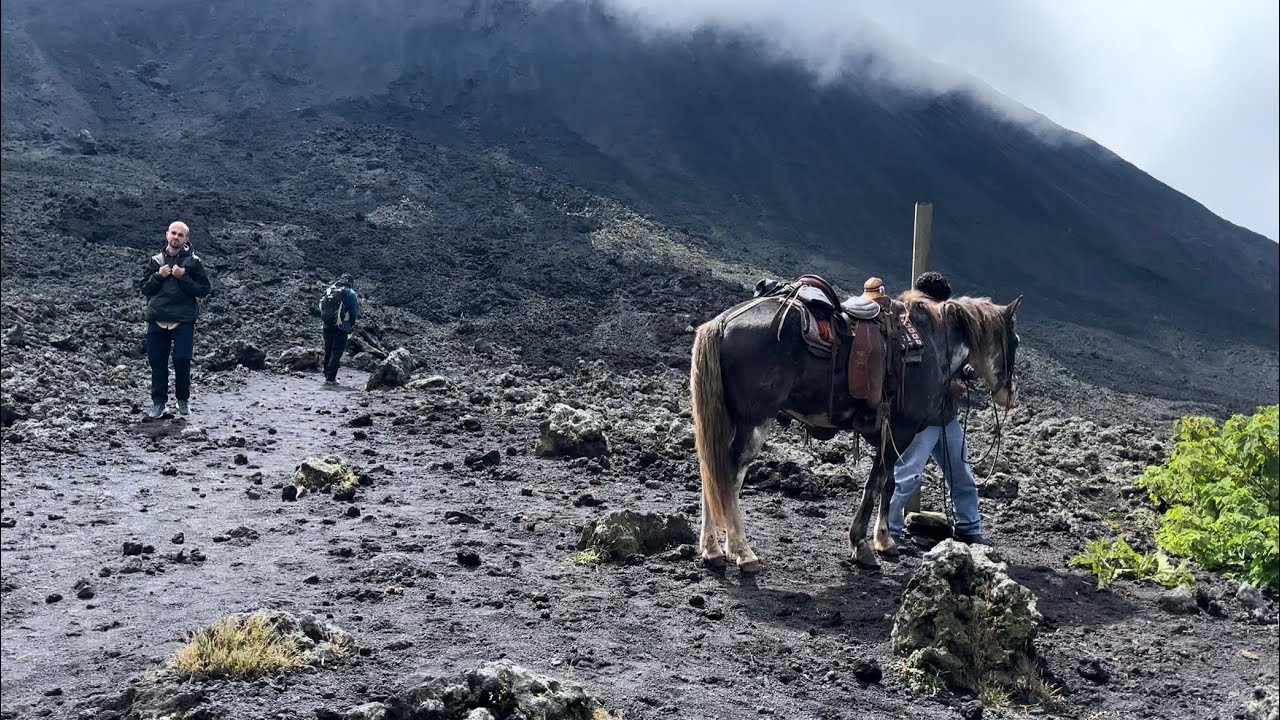 Pacaya Volcano: Group hike in Guatemala, along with horses and dogs