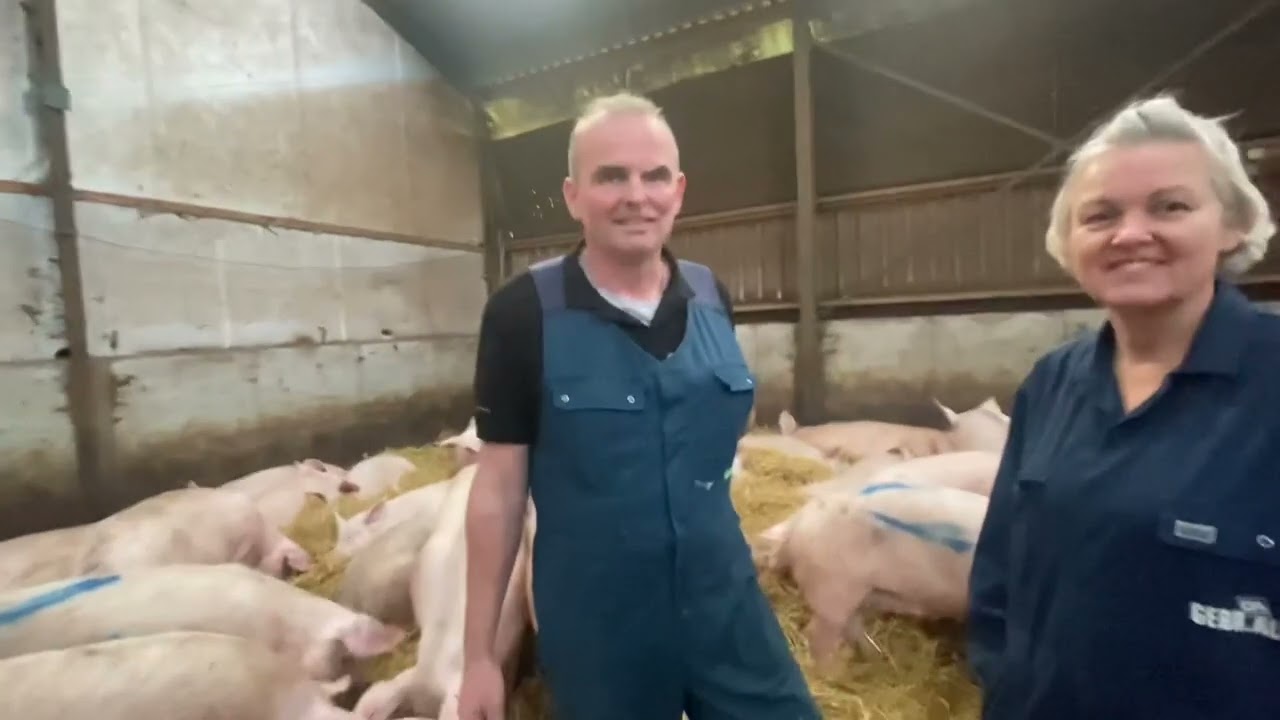 Project Netherlands 🇳🇱 Part Three: Pig Farmer