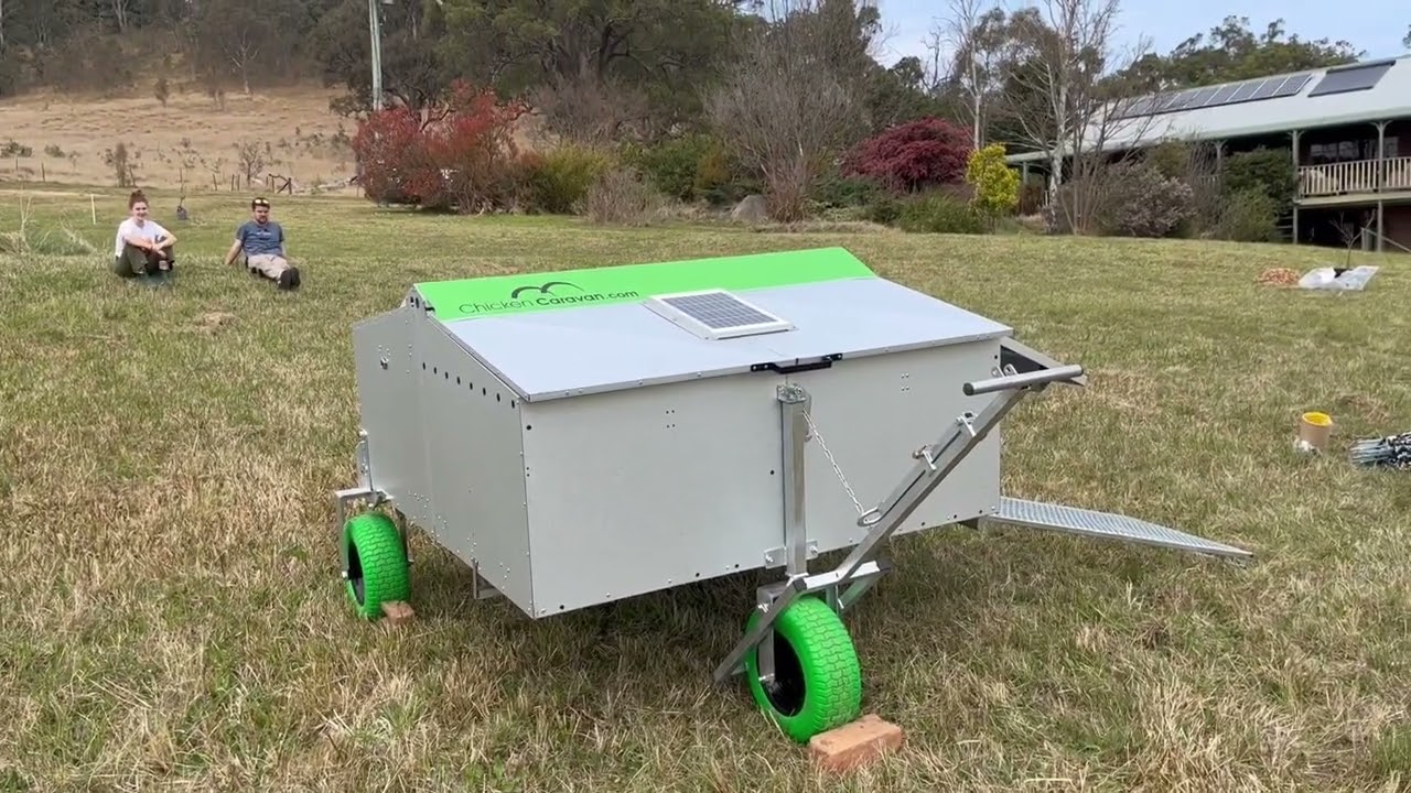 The chicken caravan