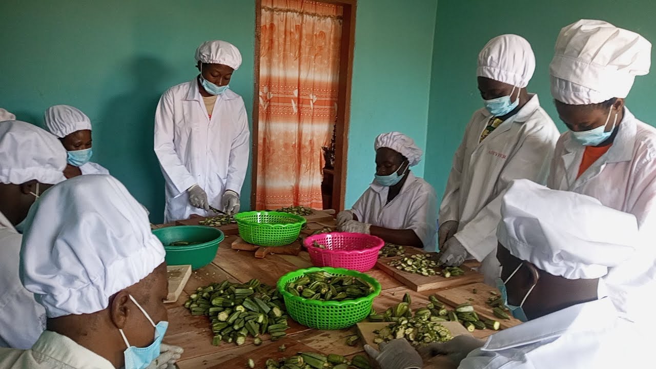 Transformation des produits maraichers à Tchaoudjo 1 : Le centre Yadjiwe apporte sa contribution
