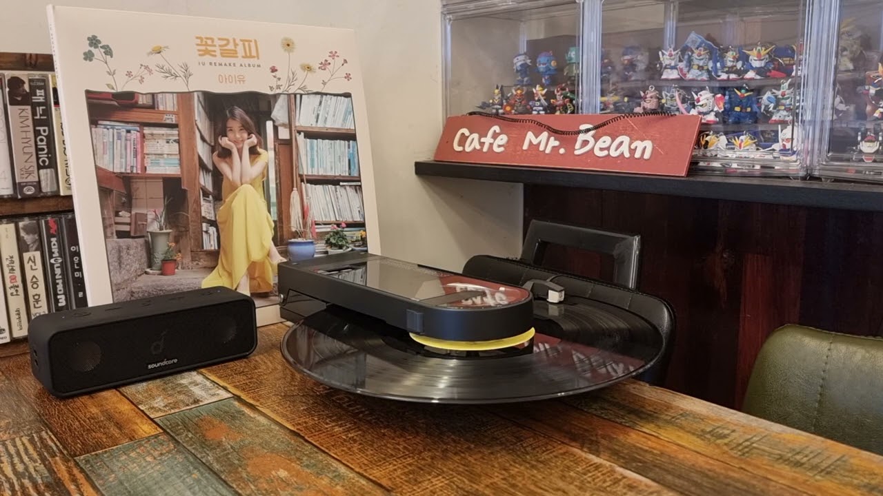 아이유 - 여름밤의 꿈