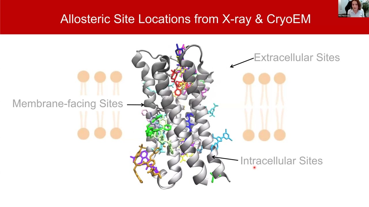 Dynamic Structural Basis for Allosteric Modulation and Signalling Bias in GPCRs’