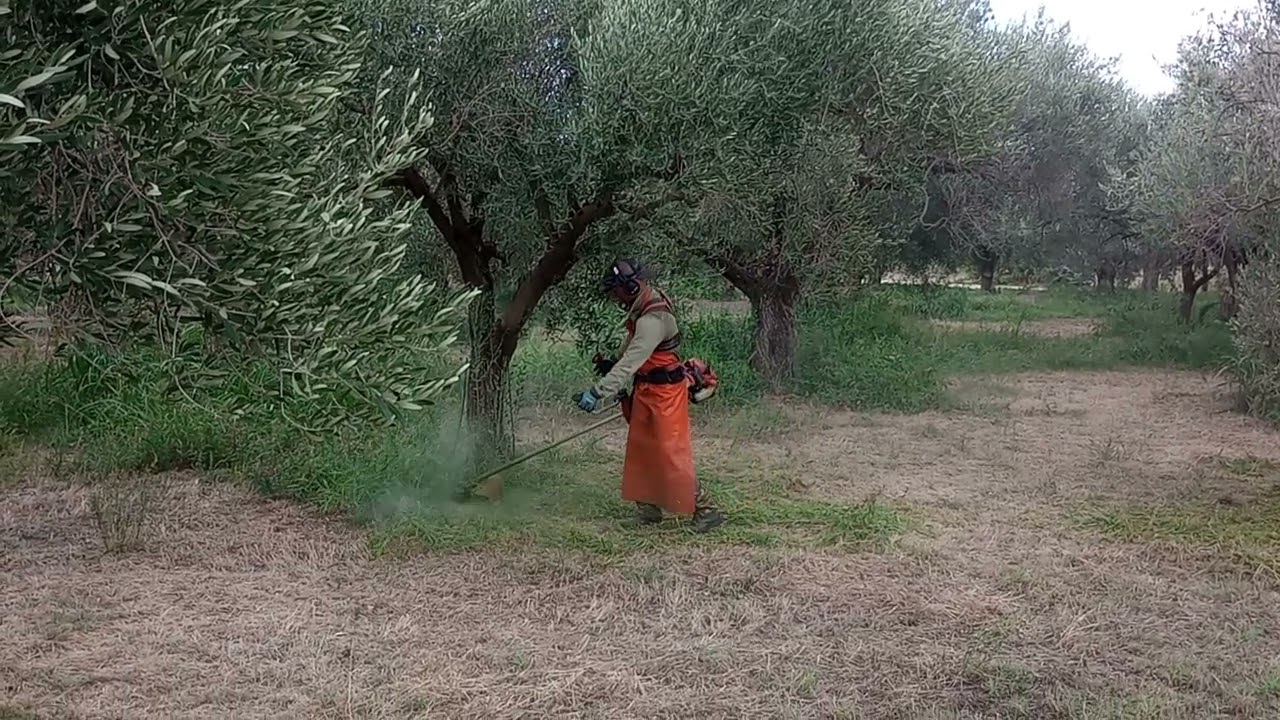 Echo srm 520es.κοπή χόρτων.