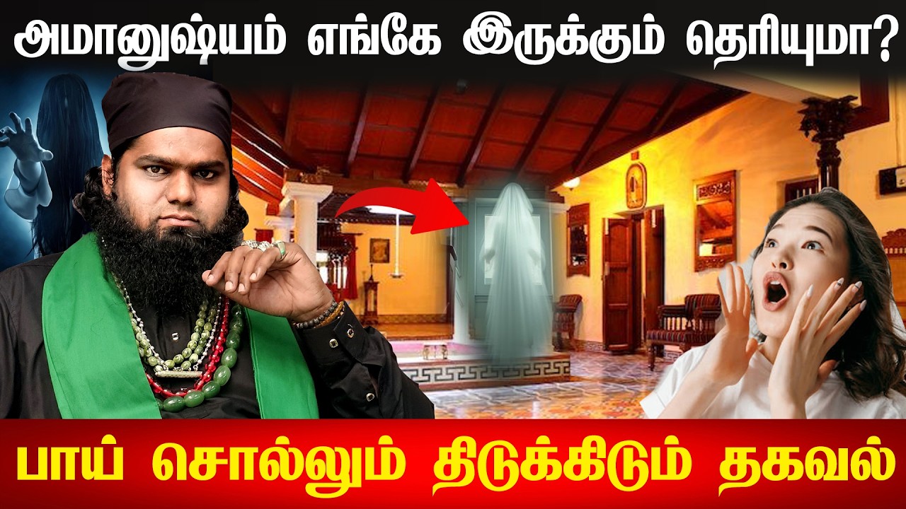 அமானுஷ்யம் எங்கேயிருக்கும் தெரியுமா? திடுக்கிடும் தகவல் ! aavigalulagam | seivinai pilli suniyam