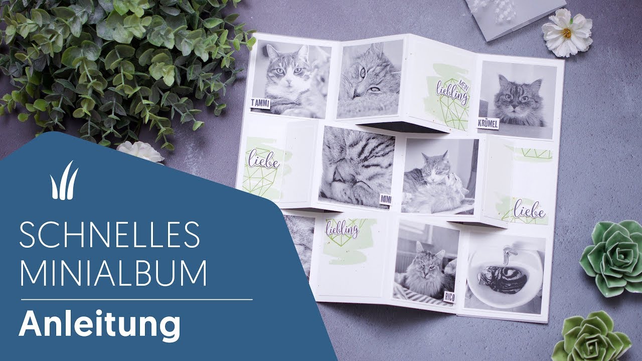 😻kleines Minialbum schnell gemacht