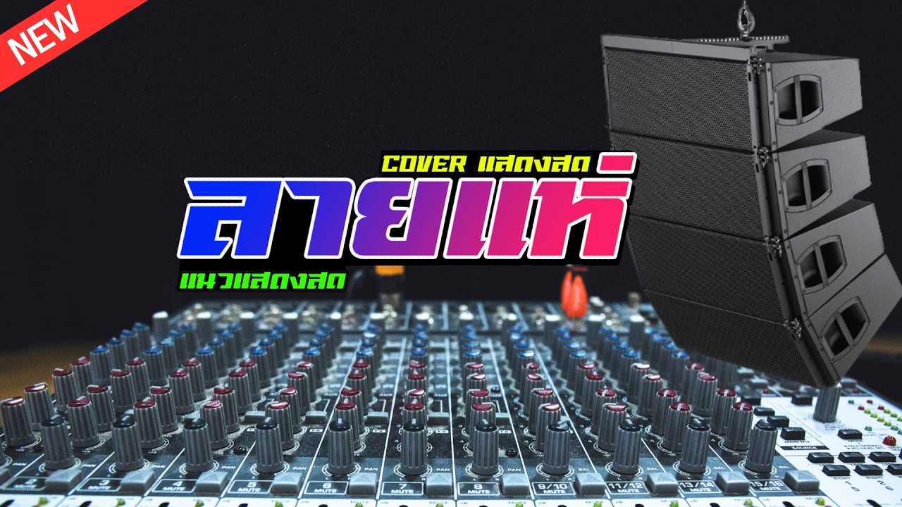 ลายแห่ - COVER PROJECTS SONAR แสดงสด