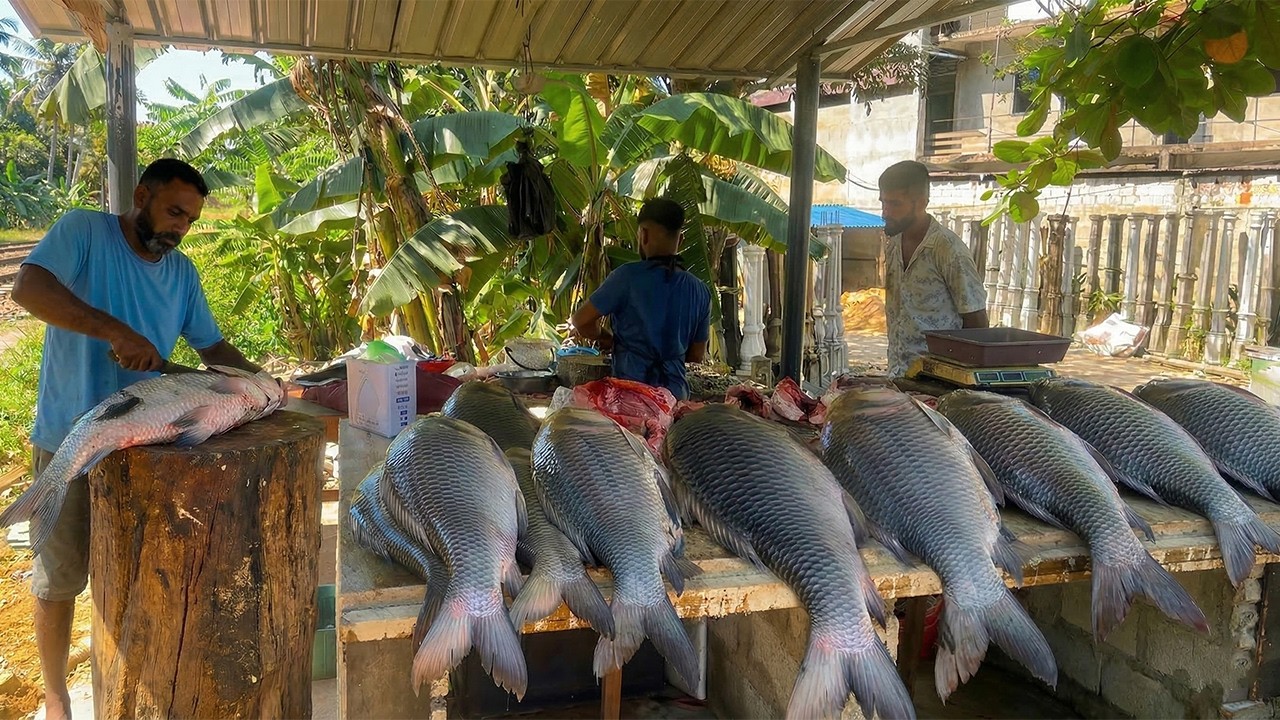 100 KG Monster Catla Fish: Master Butcher Slices Giant Catch for an Excited Village Crowd!
