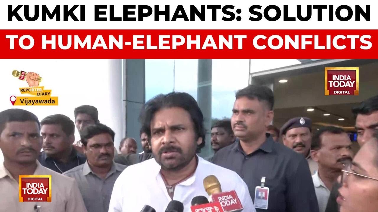 Kumki Elephants From Karnataka To Help Reduce Human-Elephant Conflicts In Andhra Pradesh