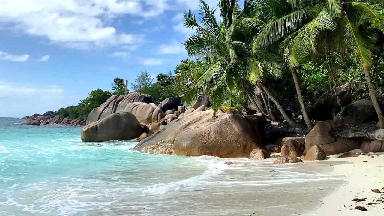 2023 F&eacute;vrier - Iles Praslin & Curieuse, Seychelles