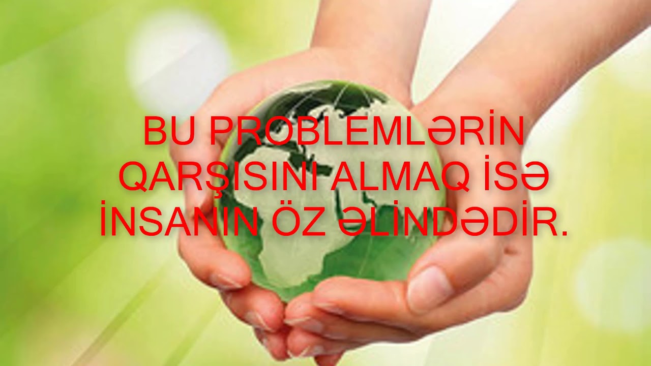 Ekoloji Problemler