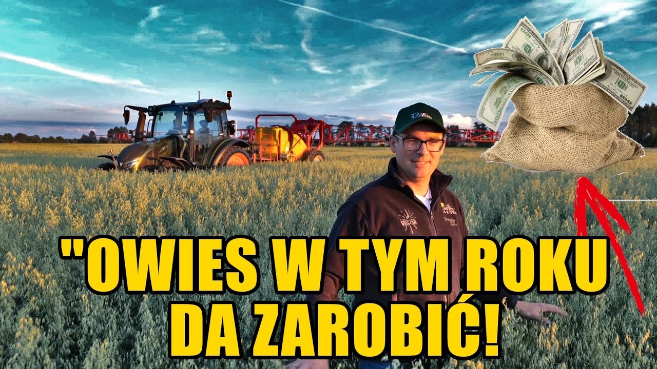 Zrezygnował z buraka cukrowego na rzecz grochu, aby nie niszczyć gleby!