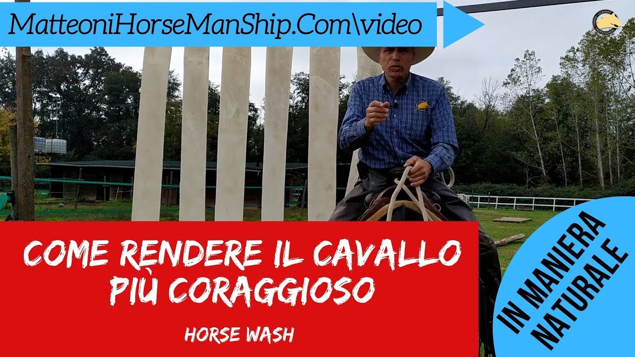 Come rendere il cavallo pi&ugrave; coraggioso