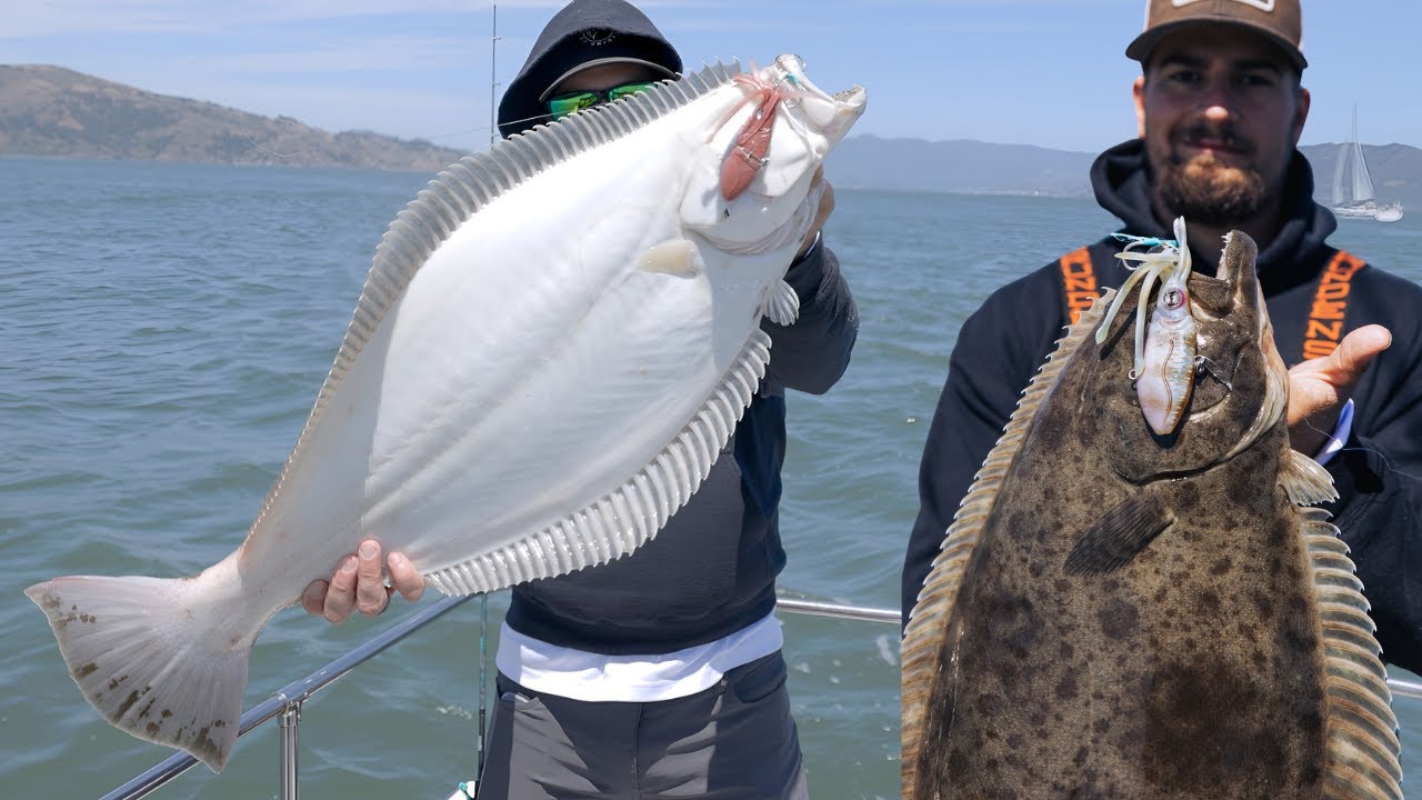 Jigging for California Halibut [EPIC Takedowns!]