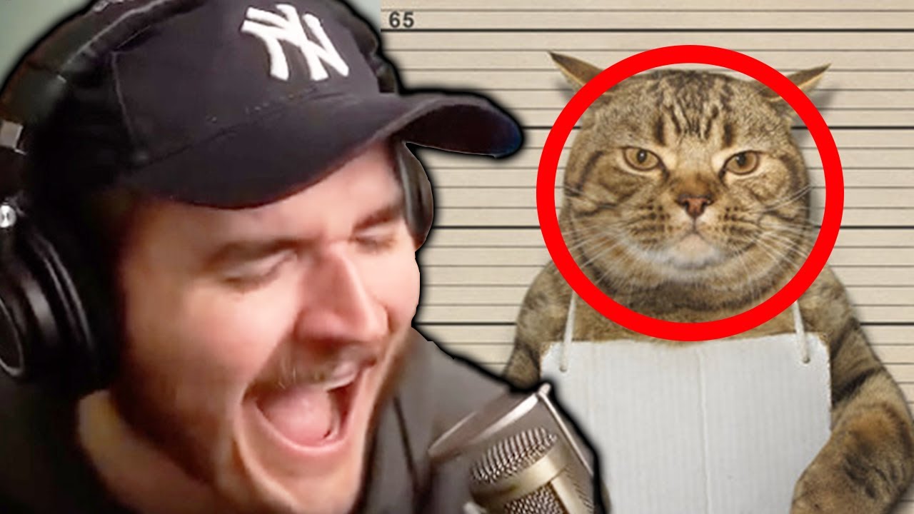 Jschlatt Ranks More UNHINGED Tiktoks