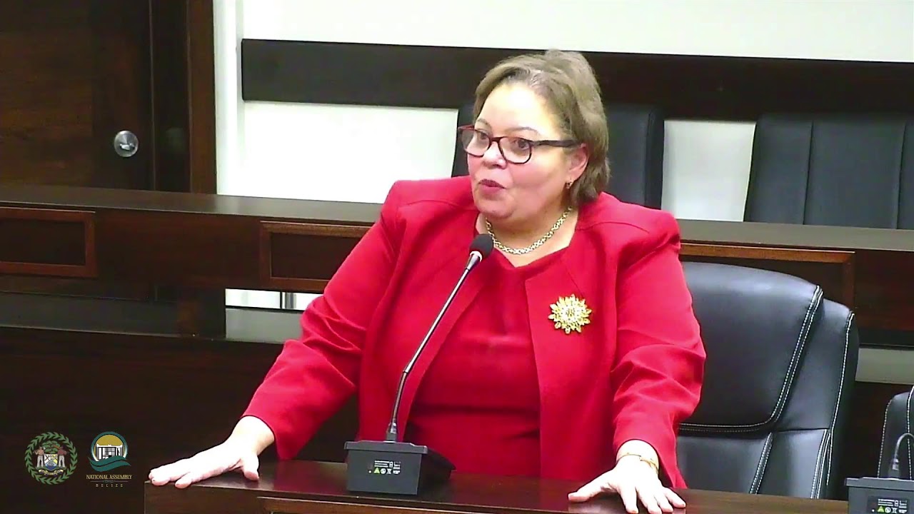 Special Sitting of the House of Representatives | 2026/2027 Budget Debate - Day 3