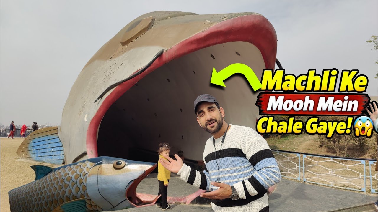 Fish Ke Mooh Mein Chale Gaye! 😱 Jammu Fish Aquarium 🐟