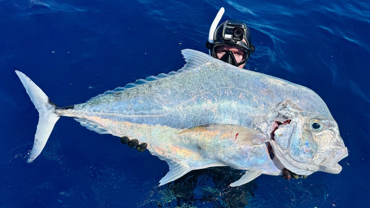 Spearfishing Pelagics - Deep Wreck | Catch & Cure