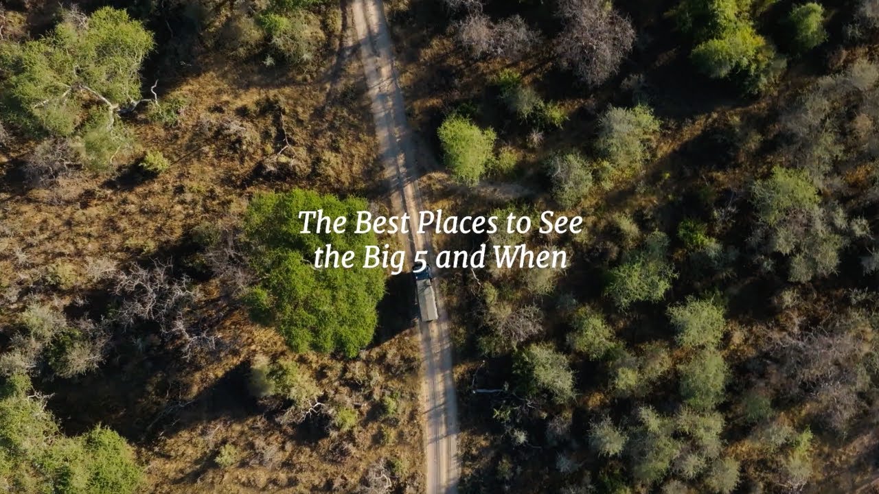 Лучшие места для наблюдения за «большой пятеркой» животных в Африке | Лучшие направления для сафари