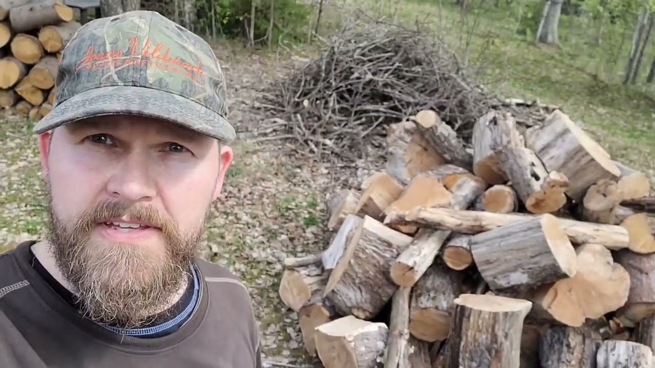 Trä, ved, ämne, bränsle, material - kärt barn har många namn