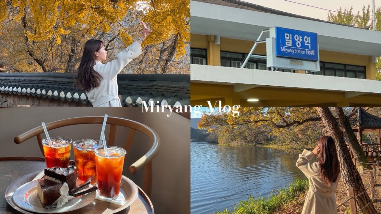 [VLOG] 우당탕탕 밀양여행 🍂 | 위양못 | 금시당 백곡재 | 현지인 추천맛집 | 교동오리 | 위양지 카페 | 마리옹 | 밀양 은행나무 | 국내 여행 | JJINI