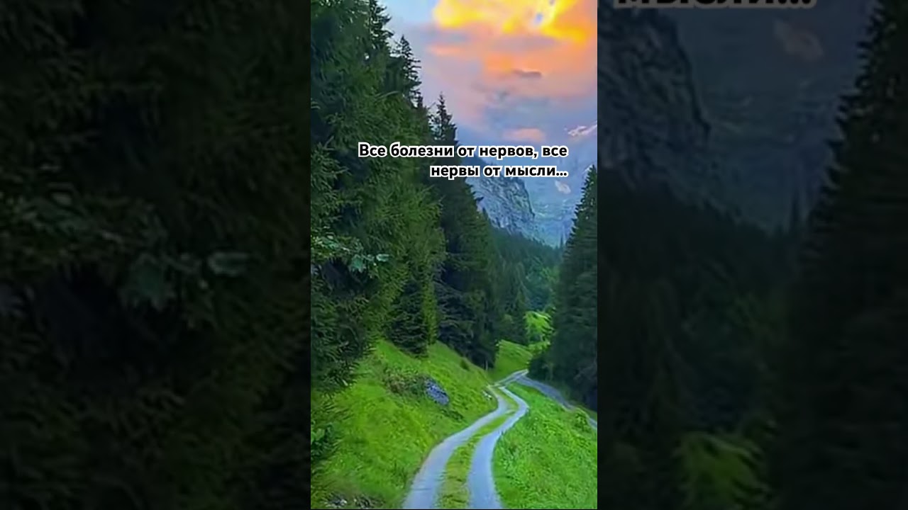 Мудрые слова