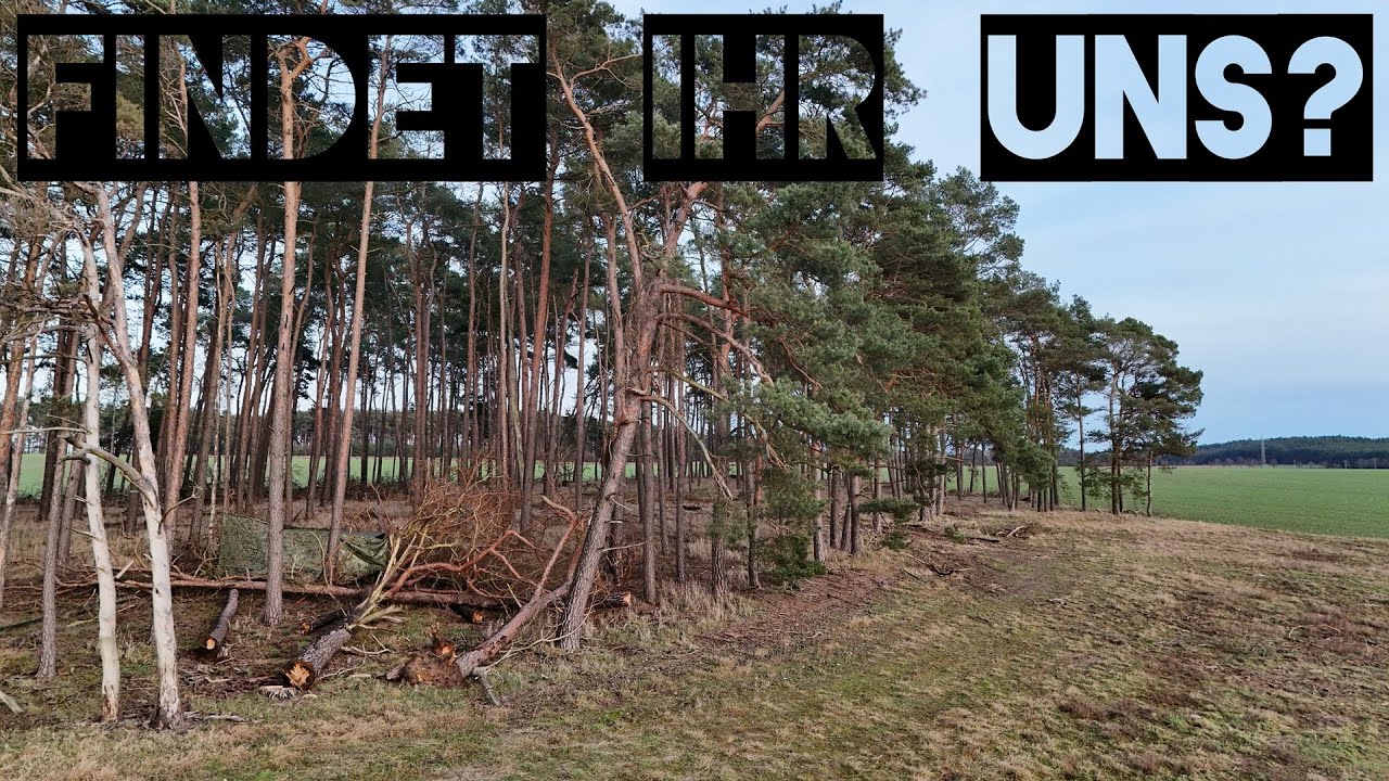 Overnighter mit Kimi, Observer und Stockbrot im Wald