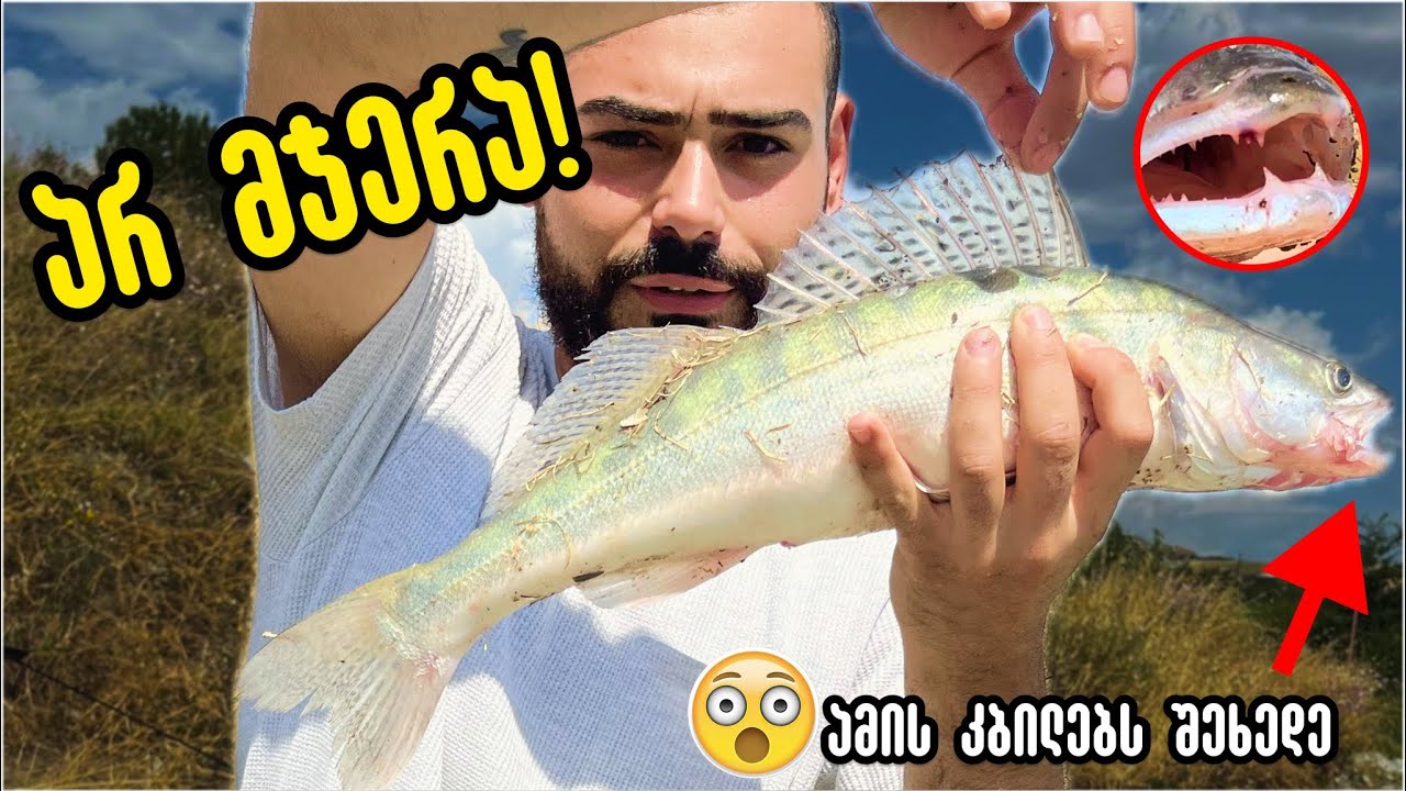 ამას 5 დღე ველოდი და ჯერაც არ მჯერა, რაც დავიჭირე! 