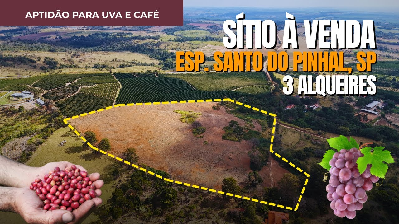 S&iacute;tio de 3 Alqueires &agrave; Venda em Esp&iacute;rito Santo do Pinhal 🏡 | Ideal para Caf&eacute;, Uva e Turismo Rural 🚜