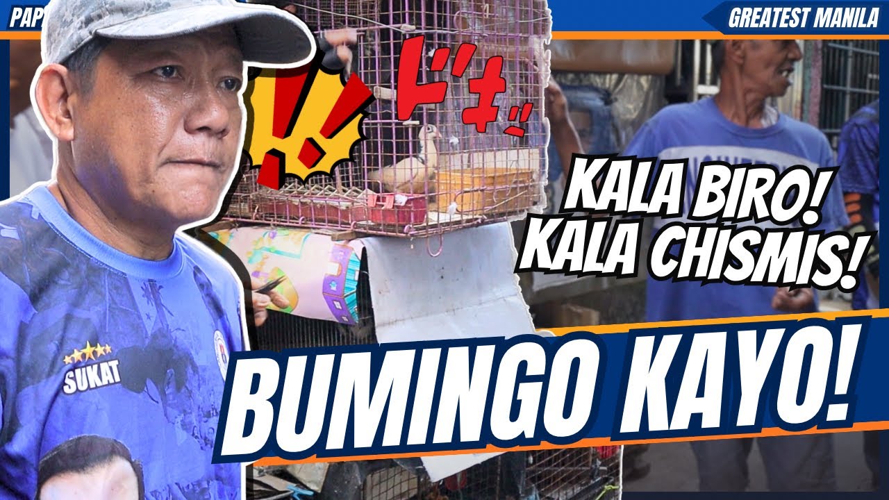 BUMINGO KAYO! / yorme clearing operation - general sukat - papapau