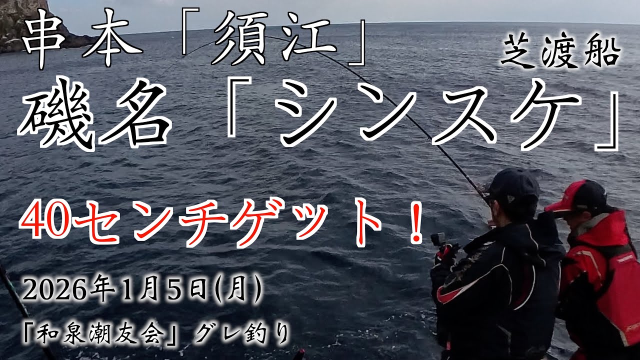 グレ釣り 　和歌山　串本　須江　シンスケ　樫野 渡船区　芝渡船　４０センチゲットグレ　2026年1月5日  和泉潮友会