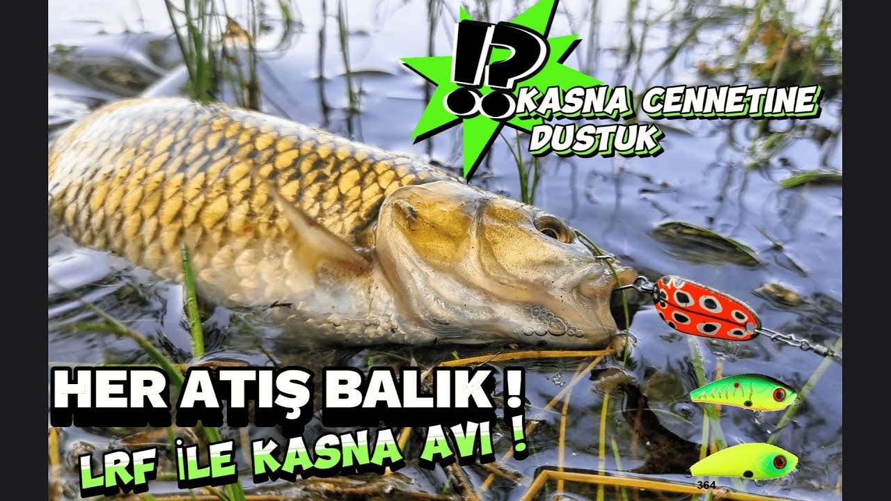 LRF İLE KASNA AVI !!! HER ATIŞ BALIK !