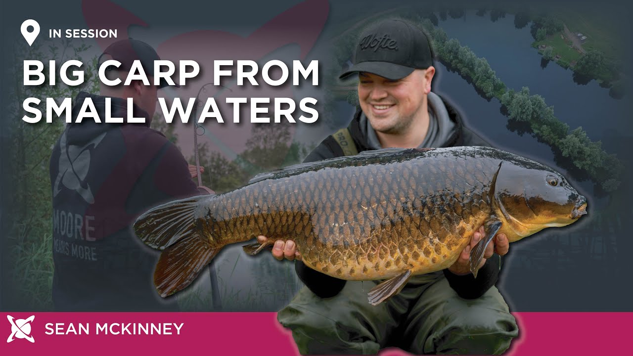 Catching Big Carp From Small Waters | CC Moore Carp Fishing | Sean McKinney | Grendon Lakes