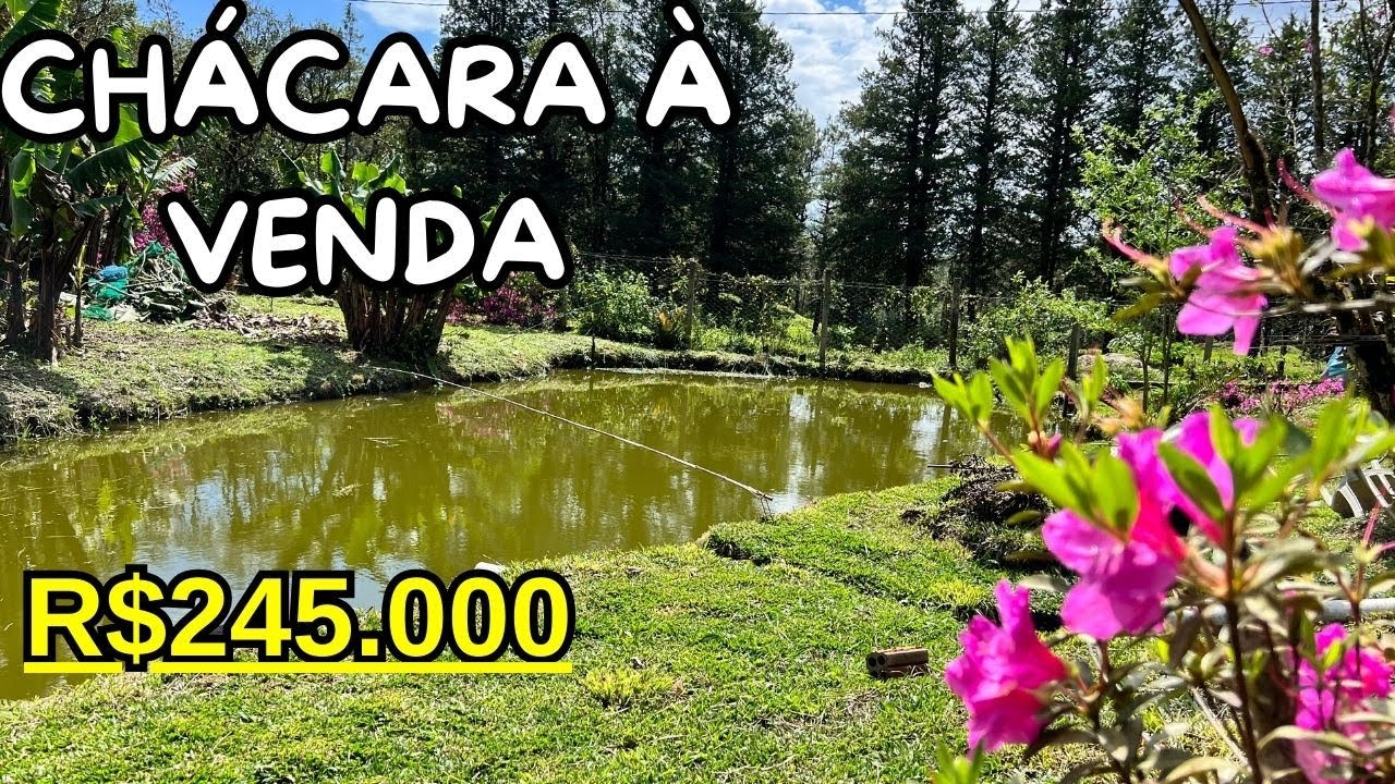 BELEZA DE CHÁCARA PROXIMO DA CIDADE | CONFIRA! | TANQUE DE PEIXE + GALINHEIRO + CASA + POMAR