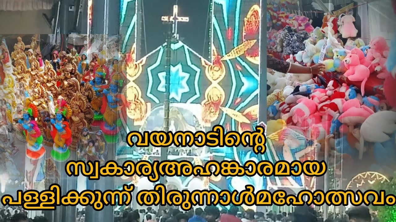 പള്ളിക്കുന്ന് പെരുന്നാൾ കൂടാൻ പോയാലോ ||വയനാട് 🥰#video #pallikkunn#vibishaashok 
