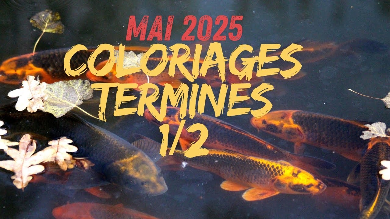 Coloriages terminés mai 2025 partie 1