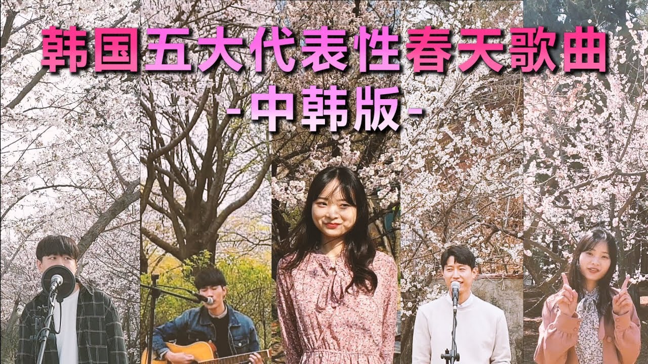 韩国五大代表性春天歌曲【中韩版】cover by 欧巴Studio