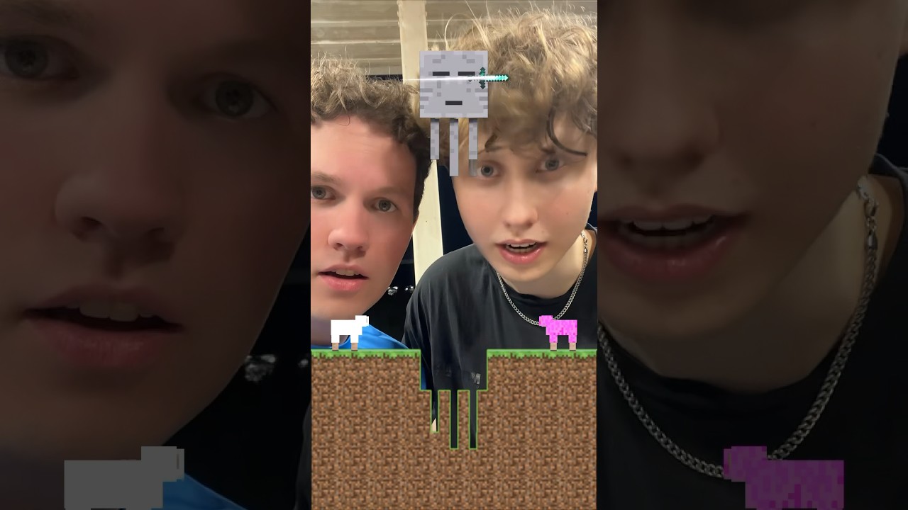 RED MINECRAFT FÅRET MED SHADYS!