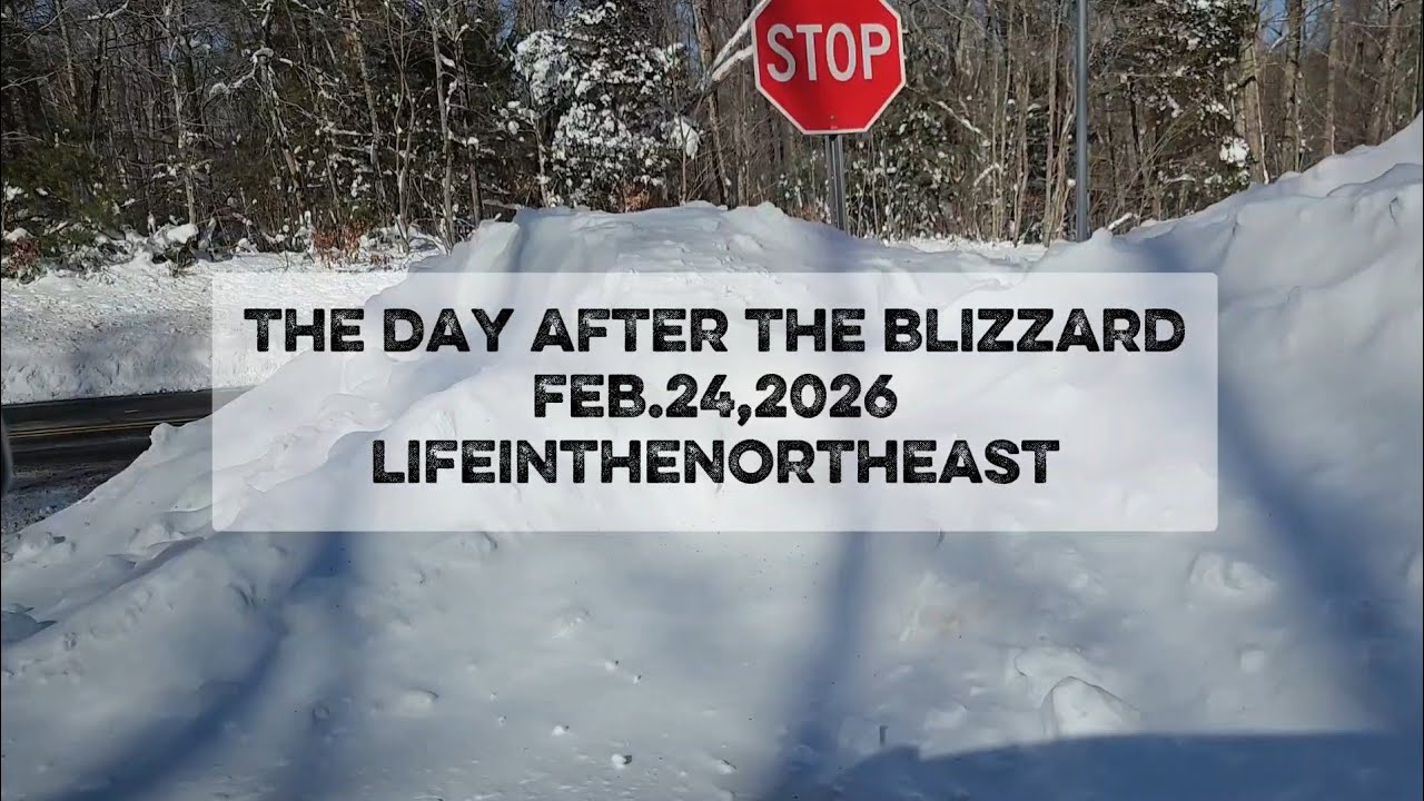 Blizzard Dumped 20+ Inches here! ❄️❄️🥶 #lifeinthenortheast #newengland #blizzard #winter #storm 