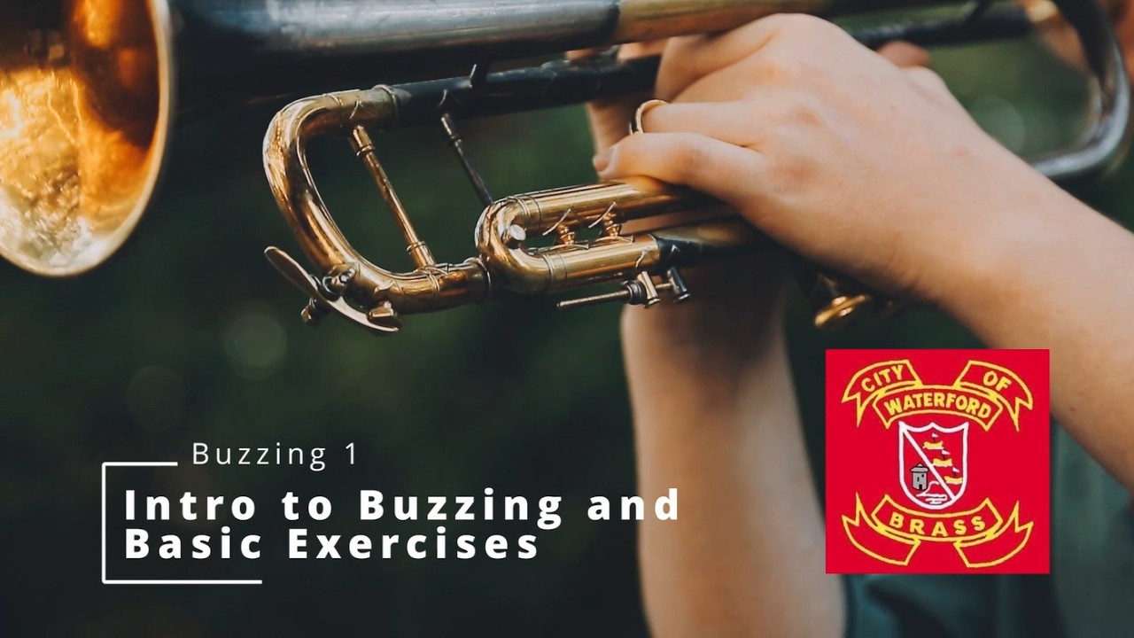 Buzzing 1 - Intro to Buzzing and Basic Exercises